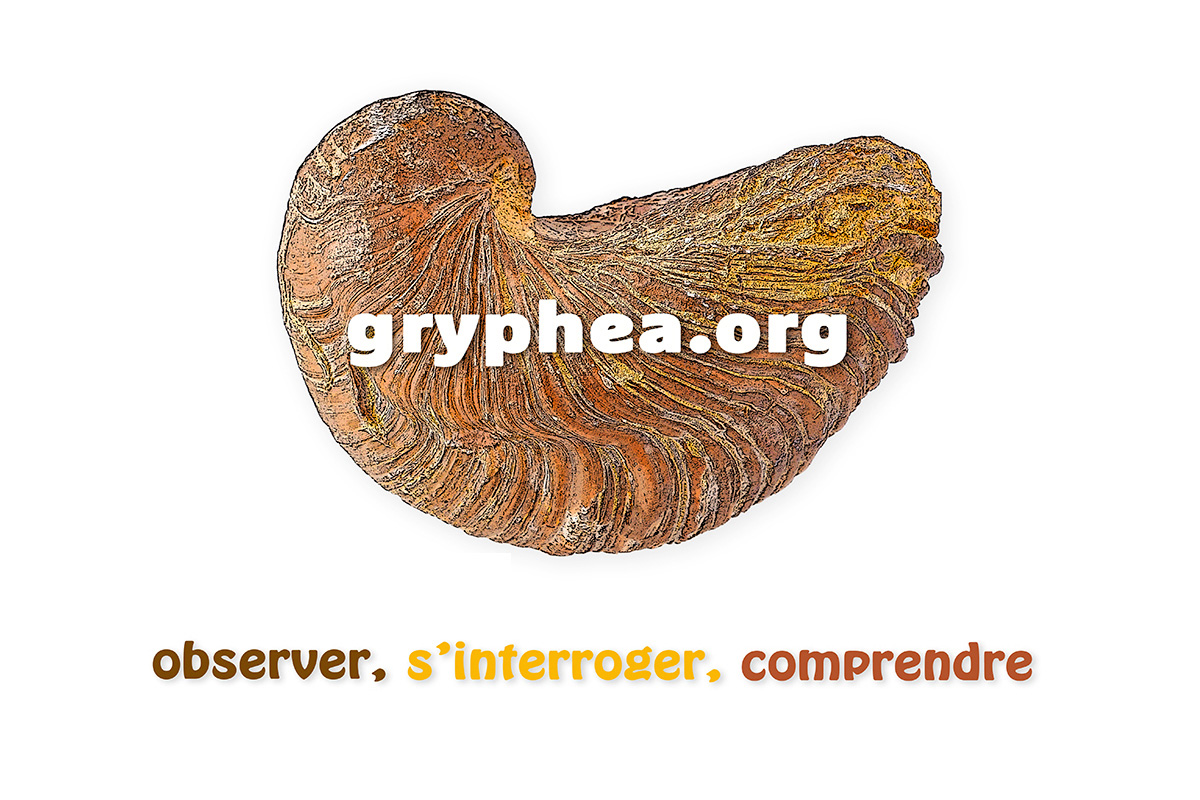 FN 05077 Présentation Gryphea-org bd