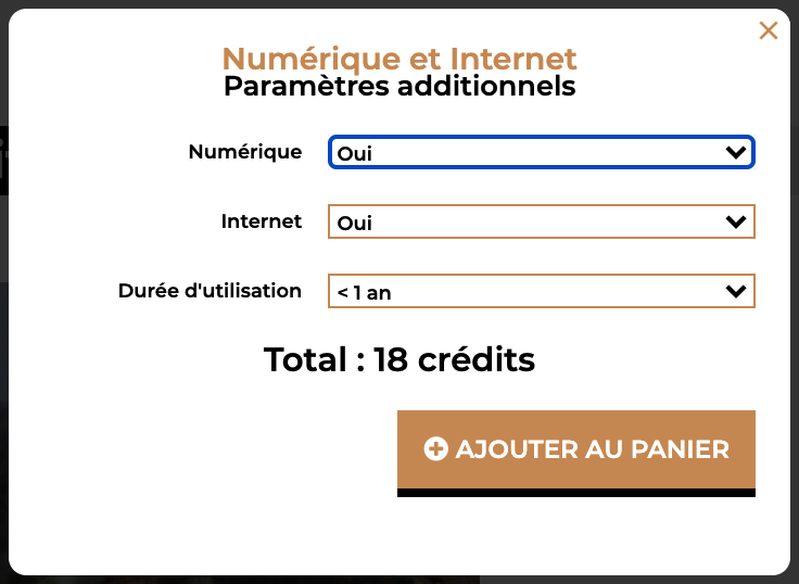 palette options additionnelles numérique